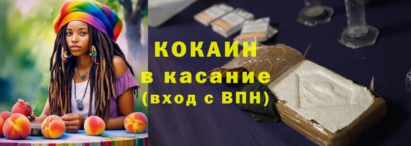apvp Алексин