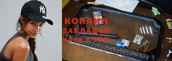 apvp Алексин