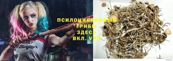 прущая мука Алзамай