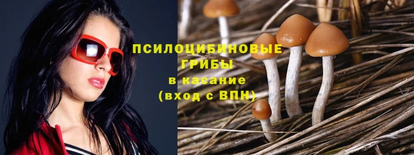 apvp Алексин