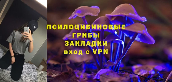 apvp Алексин