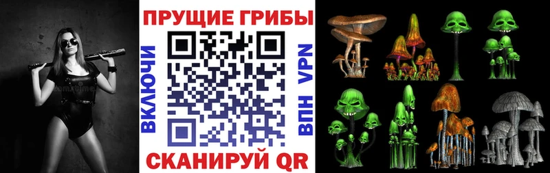 Галлюциногенные грибы Psilocybine cubensis  купить наркотики цена  Лесной 